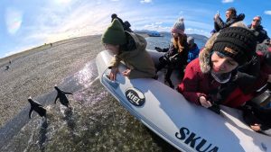 Read more about the article Ushuaia: todo lo que necesitas saber antes de llegar al fin del mundo