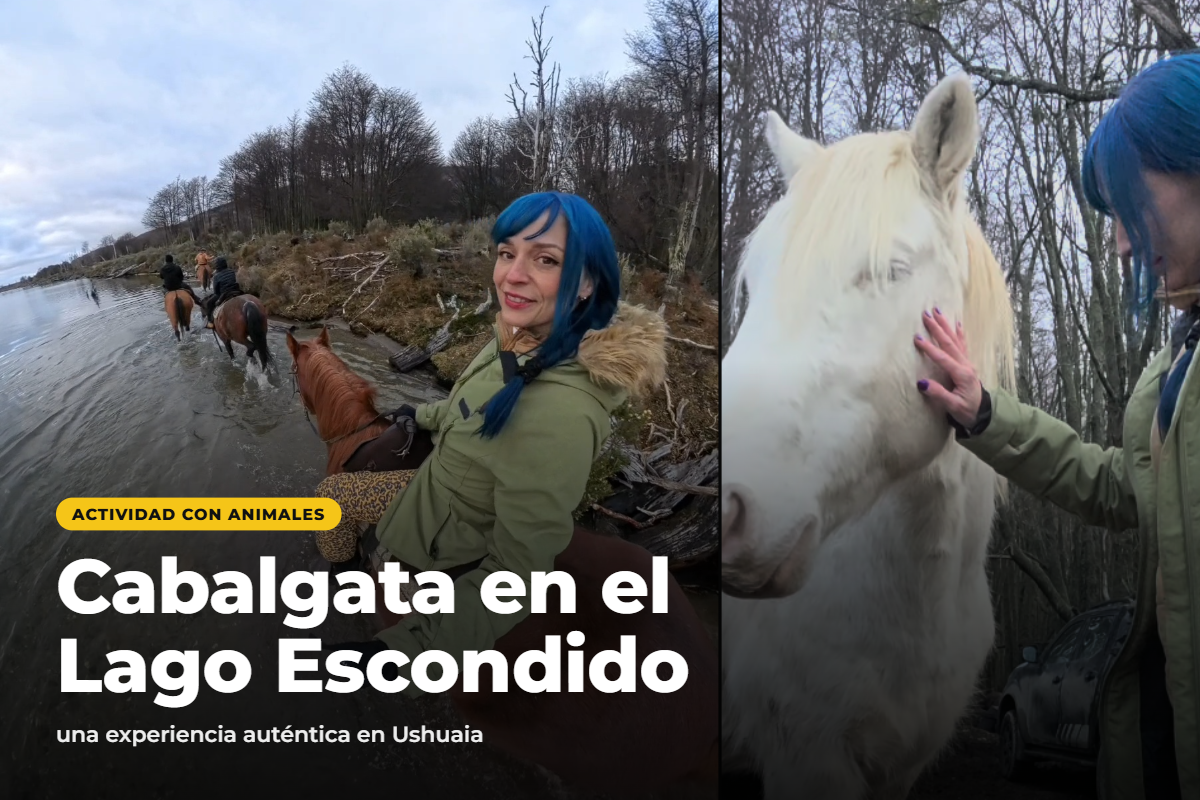 Read more about the article Cabalgata en el Lago Escondido: una experiencia auténtica en Tierra del Fuego