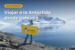 Read more about the article Cómo viajar a la Antártida desde Ushuaia: tipos de expedición, duración y temporada
