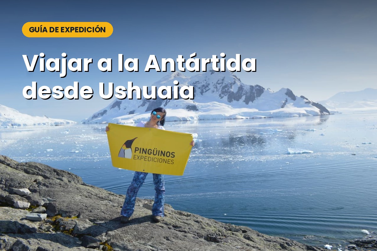 Read more about the article Cómo viajar a la Antártida desde Ushuaia: tipos de expedición, duración y temporada